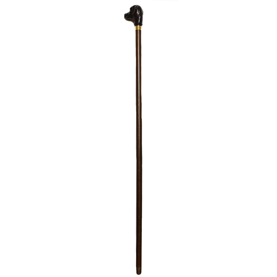Walking Sticks, Walking Golden Canes The | Concepts